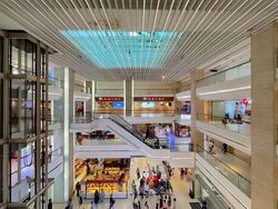 100 Am (D2), Retail #596262051